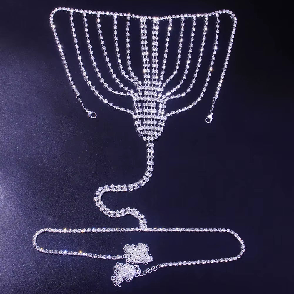 Sexy Body Chain Lingerie Red Crystal Thong Panties Jewelry for Women Silver Color Rhinestone Belly Waist Chain Body Jewelry Gift